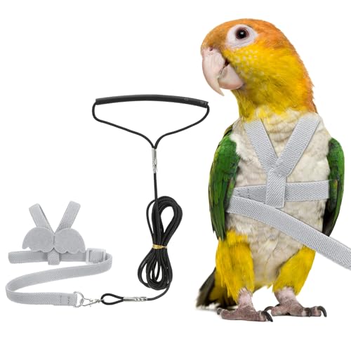 Bird Harness Leash, Adjustable Pet Parrot Bird Harness and Leash Lightweight Anti-Bite Flight Training Rope with Cute Wing, (Gray, S), Intended for Parrots/Pigeons/Budgies - color: Gray, size: Small