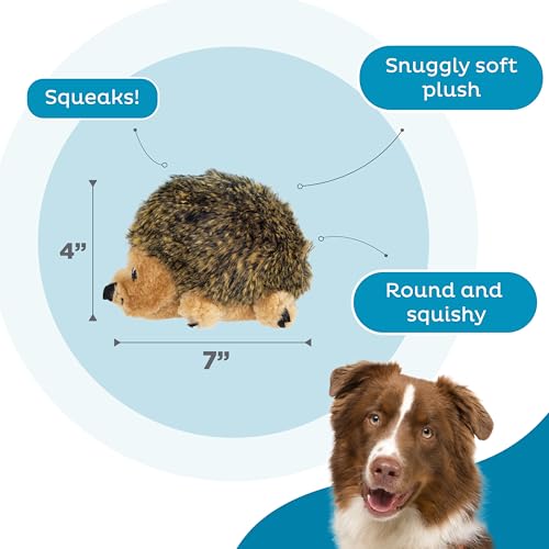 Outward Hound Hedgehogz Plush Dog Toy, Squeaks, Small, 6" x 4.5" | Soft Realistic Faux Fur, Round for Rolling & Chasing, Cuddle & Carry, Interactive Fetch, Light Chewers, Dogs & Puppies - size: Small (Pack of 1)
