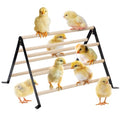 16.5" Lx13.4 Wx9.8 H Large Metal Stable Chick Perch - Wooden Baby Chicks Roosting Bars, Easy to Assemble & Clean Stand Ladder Fun Toys for Coop Accessories
