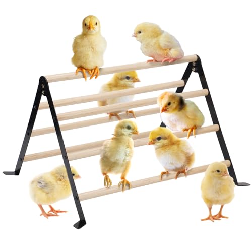 16.5" Lx13.4 Wx9.8 H Large Metal Stable Chick Perch - Wooden Baby Chicks Roosting Bars, Easy to Assemble & Clean Stand Ladder Fun Toys for Coop Accessories