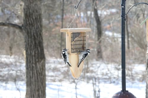 Cedar Single Cake Tail Prop Suet Bird Feeder with Hanging Cable