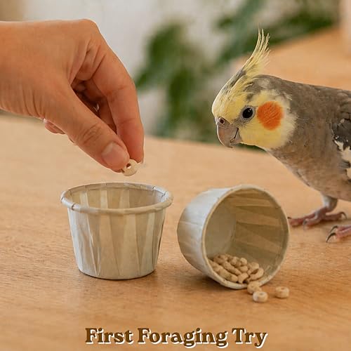 Parrot Foraging Shredding Chew Toys Natural Materials, Interactive Foraging for Birds, Tearing Chewing Bird Set, Enrichment Shredding Box for Parakeets Cockatiels Conures, Parrot Accessories (Natural)