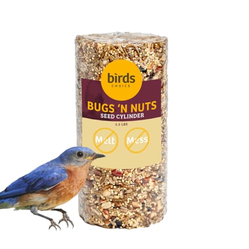 Birds Choice Bugs 'N Nuts Cylinder Seed | Wild Bird Food with Insects & Fruit | High-Energy Mix of Sunflower Hearts, Peanuts, Mealworms & Tree Nuts | High Protein & Bird Feed | 2.5 lbs | High-Energy Mix of Sunflower Hearts, Peanuts, Mealworms and Tree Nut