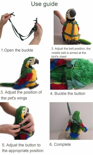 Hypeety Bird Harness and Leash with Buckle Adjustable Bird Vest for Outdoor | Adjustable chest 5.1-12.9'', adorable rainbow design, escape-proof buckles, anti bite training rope for macaw/large bird, M - size: 0.39 × 47.24 in