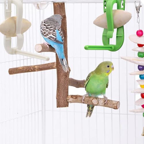 2 Pcs Bird Cage Cuttlebone Holder Fruit Vegitable Bracket with Perches Stand with 4 Pcs Cuttlebone for Parrot Budgie Conure