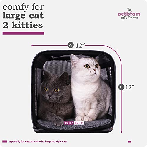 Soft Pet Carrier for Large and Medium Cats, 2 Kitties, Small Dogs. Easy to Get Cat in, Great for Cats that Don't Like Carriers (Viva Magenta) - color: Viva Magenta