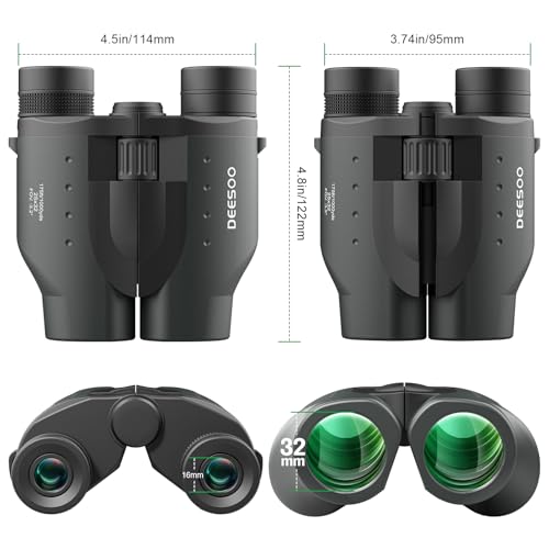 25x32 Compact Bird Watching Binoculars, High Powered for Adults Kids | BAK4 FMC Optics for Cruise Ship, Low Light for Camping Hiking, Eyeglass Friendly for Men Women, Small Size for Travel