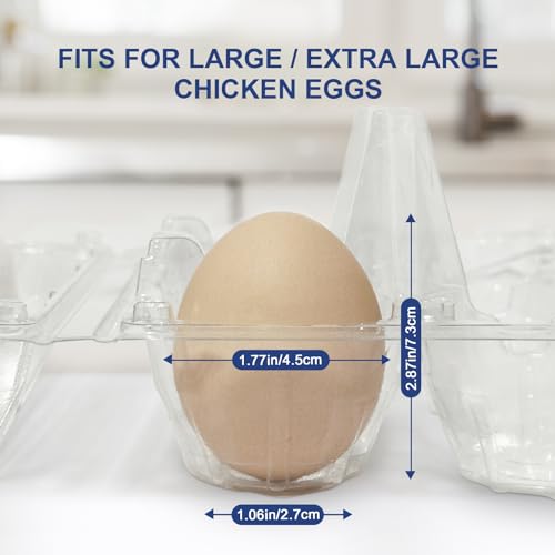 Pintuson Large 120 Pack Egg Cartons Cheap Bulk, Jumbo Egg Carton - 6 Count Duck Cartons Bulk - Exact Large Half Dozen - color: Large-120PK-6CT