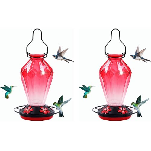 2 Pack Glass Hummingbird Feeder for Outdoors Hanging, 25Oz Humming Bird Nectar Feeder, Perch, 5 Flower Feeding Ports, Leak Proof Base, Hook for Outside Garden Backyard, Gift for Women, Diamond Red - color: Diamond Red-2