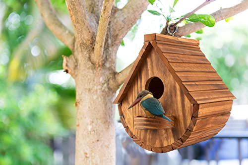 Set of 2 COLEBA Bird Houses for Outside,Outdoor Bird House Bird Families Bluebird Finch Cardinals Hanging Birdhouse for Garden