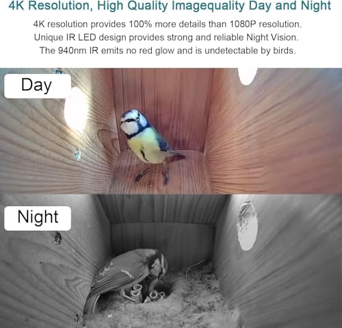 WIWACAM WiFi Bird Box Camera, 4K HD Snapshot 2K Video, Designed for Birdhouse birdhouses, for Robins Wrens Tree Swallows, Live Video to Phone, Easy Install, Night Mode, microSD Card Slot