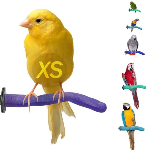 Sweet Feet and Beak Safety Pumice Bird Perch, X-Small Pedicure Perch, Purple - color: Purple, size: X-Small 6"