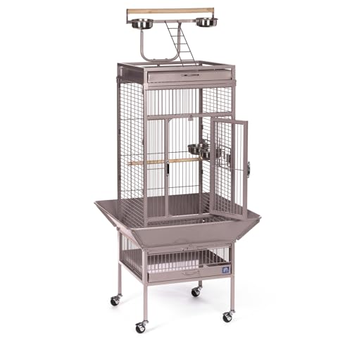 Prevue Pet Playtop Bird Cage Rolling Stand Seed Guards - Blush Finish | Medium Steel Bird Cage with Integrated Playtop, and Perches, Ideal for Conures and Cockatiels - color: Blush, size: 18.0"L x 18.0"W x 57.0"H
