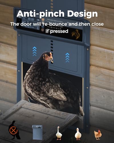 Automatic Chicken Coop Door Solar Powered, LCD Display, Timer & Light Sensor, 20-m Remote Control,Electirc Door,4 Modes, USB Rechargeable Battery, Light Blue