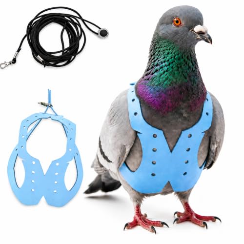 Bird Harness and 3M Elastic Flight Leash, Adjustable Parrot Harness for Budgies, Parakeets, Lovebirds, Cockatiels, Conures, Quaker Parrots, Pigeons(Blue, 2XL) 6350-32 - color: Light Blue, size: 2XL,for domestic Pigeon and similar size birds