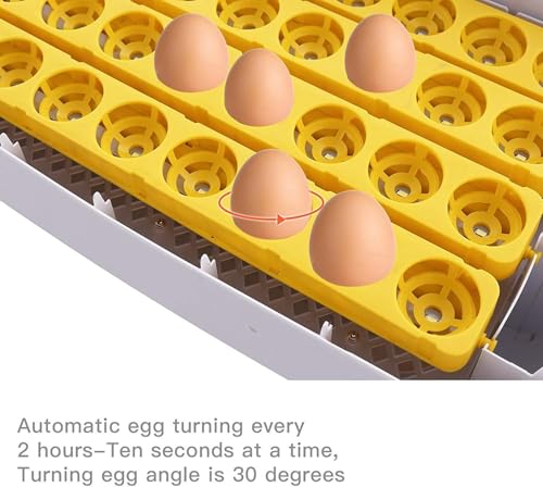 55 Egg Incubator with Auto Turner & Humidity Control 360° View | High Hatch Rate Poultry Hatcher for Chicken Duck Quail, Ideal for Farm & Home Breeding - size: 55 Egg