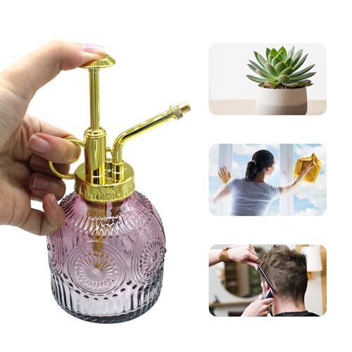 Glass Plant Mister Spray Bottle, 230ML Vintage Plant Spritzer, Succulent Watering Bottle Glass with Top Pump, Small Plants Sprayer Watering Can for Indoor Outdoor House(Red Gray) - color: Red Gray