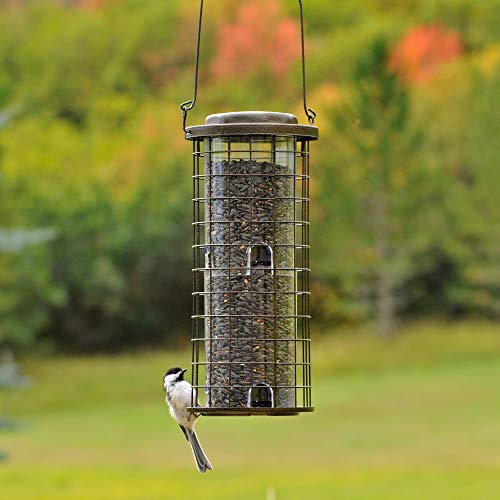 Perky-Pet 114 Squirrel Stumper Wild Bird Feeder