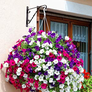 AMAGABELI GARDEN & HOME 4 Pack Hanging Plant Brackets Outdoor 12" Metal Fence Wall Plant Hanger Hooks for Hanging Flower Baskets Bird Feeders Lanterns Wind Chimes Rust-Resistant Black - size: 12 Inch, style: 4-Pack Twist Hook 1
