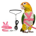 Bird Harness Leash, Adjustable Pet Parrot Bird Harness and Leash Lightweight Anti-Bite Flight Training Rope with Cute Wing, (Pink, XS), Intended for Parrots/Pigeons/Budgies - color: Pink, size: Extra Small