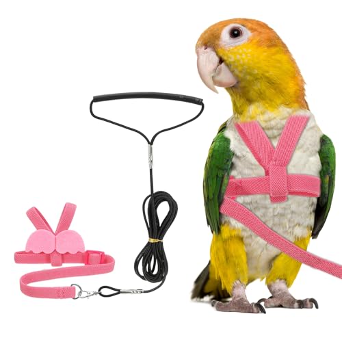 Bird Harness Leash, Adjustable Pet Parrot Bird Harness and Leash Lightweight Anti-Bite Flight Training Rope with Cute Wing, (Pink, S), Intended for Parrots/Pigeons/Budgies - color: Pink, size: Small