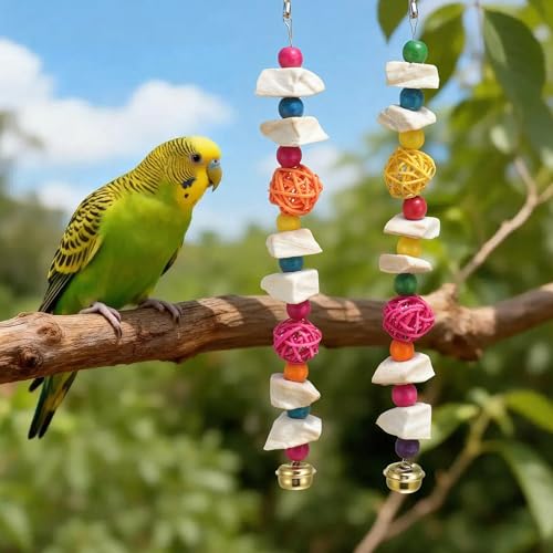 Bird Toys with Cuttlebone, Grinding Stone for Bird, 2 Pcs, C | Prevent Destructive Chewing, Colorful，White - style: Style C