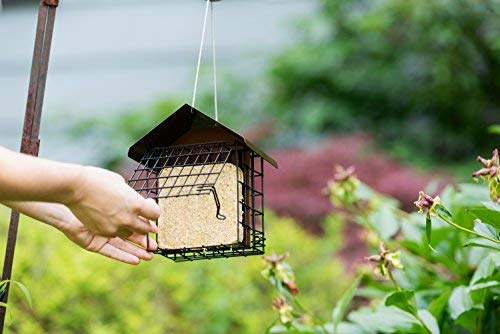 MEKKAPRO Suet Bird Feeder Metal Roof Cage Hanger Holds 2 Suet Cakes Outside | Woodpecker Feeder Offering Two Suet Bird Feeder Capacity; A Hanging Wild Bird Feeder Basket Built For Outside Use Year-round