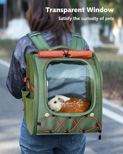 Pecute Kids Cat Backpack with Bubble Window, for Cats up to 8.8 lbs, Green | Sturdy & Safe, Safety Lock, Breathable Mesh, Stress-Relief Shade, Comfortable & Portable for Travel/Vet Visits/Camp - color: Green