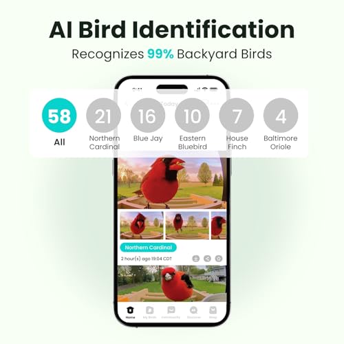 Smart Bird Feeder with Camera, Solar Powered, 2K Live Stream, Bamboo Bird Feeder with Metal Guard, AI Bird Identification with 7-Day Trial, Auto-Recorded Videos, Gift for Bird Lovers - style: BamG AI 7-day trail