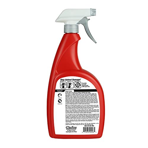 Squirrel Stopper Repellent Spray - Chipmunk & Squirrel Deterrent for Bird Feeders, Garden & Homes - Weather-Resistant Formula - Scent, Taste & Touch Barrier - Safe Around Kids & Pets - 32oz - size: 32 Fl Oz (Pack of 1)