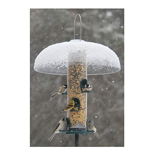 Aspects Quick-Clean Spruce Big Tube Feeder, 3.5qt Capacity - Large UV-Stabilized Feeder with 6 Feeding Stations for Backyard Birds