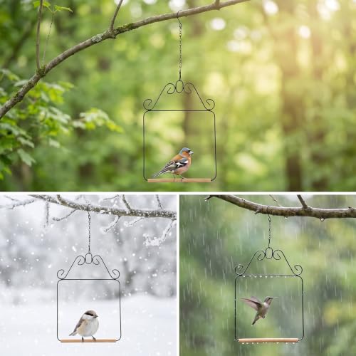 2 Pack Hummingbird Swings, Black Metal Frame Hummingbird Swings with Wooden Dowel Wild Bird Swing Outdoor Bird Perch with 2Pcs Hanging Chain for Hanging Indoor Outdoor Trunk Lawn Patio Garde