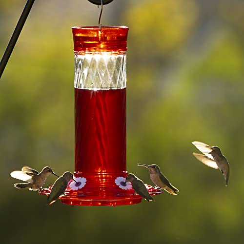 More Birds Bird Health Diamond Hummingbird Feeder, 30oz, Red