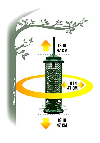 Squirrel Buster Legacy Squirrel-Proof Bird Feeder for Wild Birds – 4 Metal Removable Perches, 2.6 lb Seed Capacity, Chew-Proof Design, Easy to Clean, Green | Four removable metal perches, chew-proof construction, tool-free cleaning - size: 1 Pack