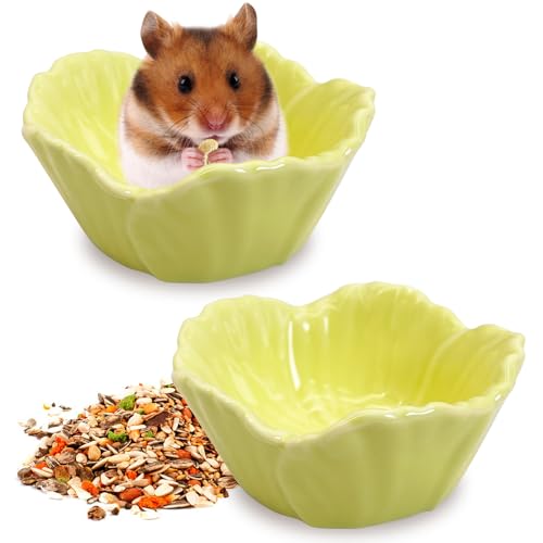 Tfwadmx 2 Pcs Hamster Food Bowl, Ceramic Dwarf Hamster Food Bowl Feeder Water Rat Bowl Small Animal Food Dish for Golden Bears, Hedgehogs, Dutch Pigs, Parrots (Yellow) - color: Yellow