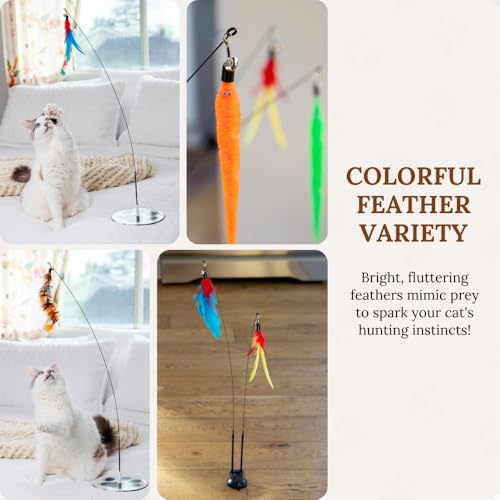 Cat Toys for Indoor Cats, Interactive Cat Toy Wand, Kitten Stuff, 9 Lures | 3 Play Modes! Set The No-topple Base On A Couch, Attach The Dual Suction Base, Or Use The Handheld Fishing Pole Wand. - color: Meow Motion Bundle