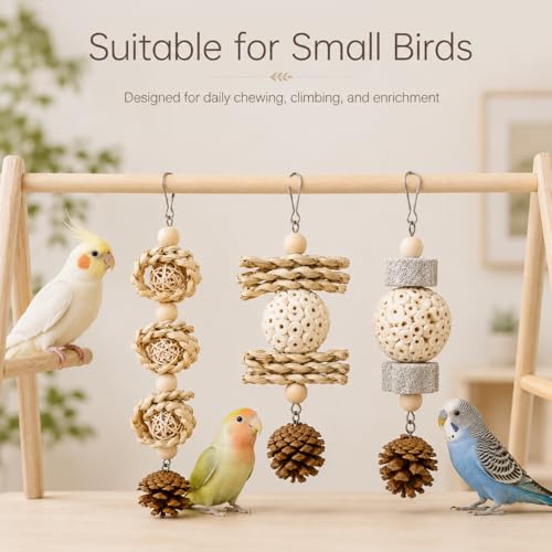 3 Pack Bird Toys for Small Birds, Texture-Rich Shredding & Chewing Toys with Sola Ball, Rattan Balls, Pumice Stone and Pinecone, Hanging Cage Toys for Budgies, Cockatiels, Lovebirds and Small Conures - size: 3 Pack