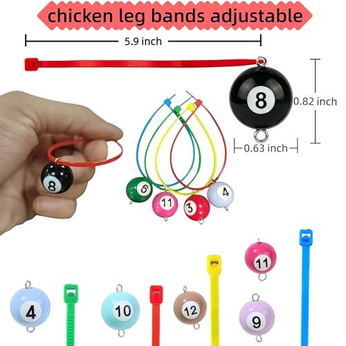 Colored & Numbered Chicken Leg Bands, 12 Billiard Ball Style, 1.6cm | Poultry Identification, Chicken & Goose Compatible, Colorful Rings