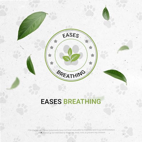Birds Respiratory | Natural Herbal Dietary Pet Supplement for Birds | Healthy Respiratory System Support | Alcohol-Free Extract, Horehound, Linden, Peppermint, Elder Flowers, Fennel 2 oz - style: Respiratory