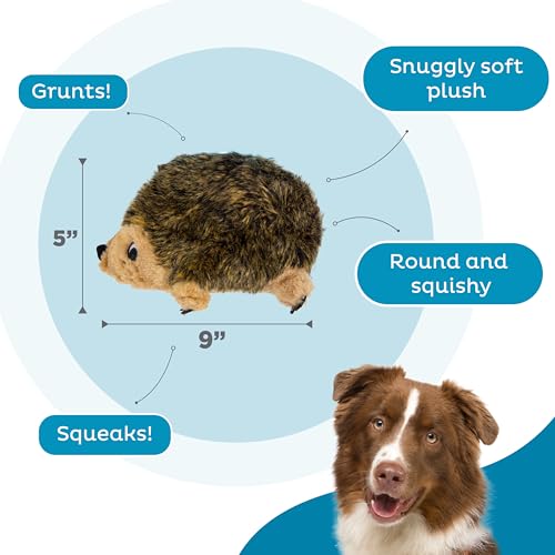 Outward Hound Hedgehogz Plush Dog Toy, Squeaks & Grunts, Medium, 9" x 6.5" | Soft Realistic Faux Fur, Round for Rolling & Chasing, Cuddle & Carry, Interactive Fetch, Light Chewers, Dogs & Puppies - size: Medium (Pack of 1)