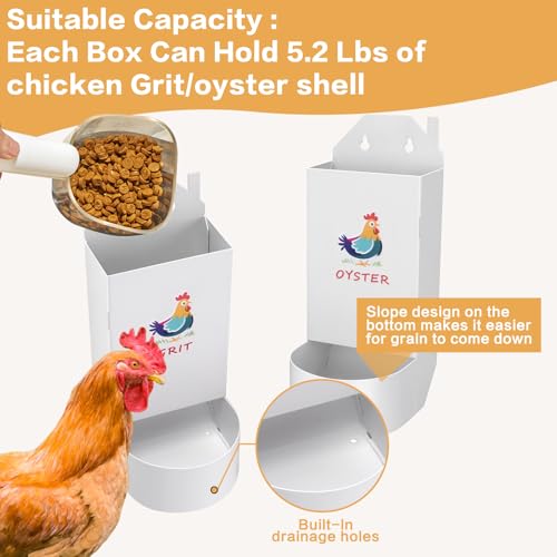 Chicken Grit and Oyster Shell Feeder,Metal Automatic Chicken Feeder,Chicken coop Accessories Poultry feeders, Suitable for Quail, Pigeons, Doves, Chicks