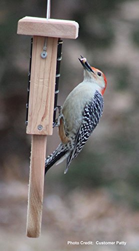Cedar Single Cake Tail Prop Suet Bird Feeder with Hanging Cable