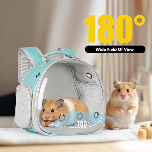 Guinea Pig Backpack, Space Capsule Bubble Window Small Animal Backpack for Guinea Pig, Bird Bunny Rat - color: Green