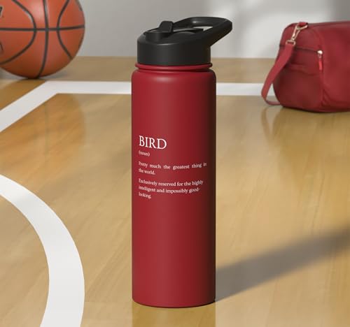 Bird Definition - Funny Sarcastic Bird Explanation Stainless Steel Insulated Water Bottle - color: Red