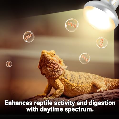 Reptile Heat Lamp Blub Combo Pack, Dual Reptile Lamp Fixture with Intense Basking Spot Light UVA Daylight Reptile Heat Lamp & 26W Energy Saving UVA 10.0 UVB Bulb Spiral Compact Bulb - style: DRL01ST4