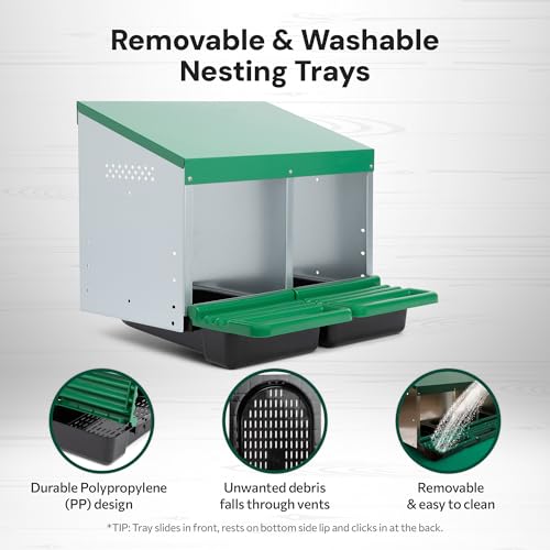 Homestead Essentials Classic Style 2 Compartment, Forward Rollout and Rollaway, Hen & Chicken Nesting Box with Integrated Perch and Protective Egg Laying Collection Lids - size: 20.8"L x 20.5"W x 20.0"H