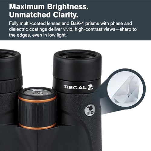 Celestron Regal ED 8x42 Binoculars with ED Glass for Birding & Nature | Premium ED Optics, Phase, Dielectric Coated BaK–4 Prism, Fully Multi–Coated Glass, 4.9 ft Close Focus, Tripod Adaptable - size: 8x42mm
