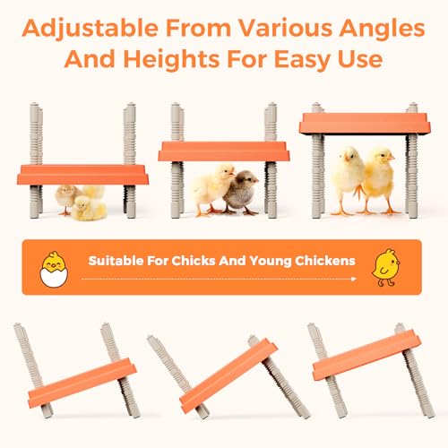 Large Chick Brooder Heating Plate 12" x 12" with Anti-Roosting Cone, Stepless Adjustable Height for Up to 25 Chicks, Energy Efficient Mother Hen Brooder for Poultry - color: ORG-12