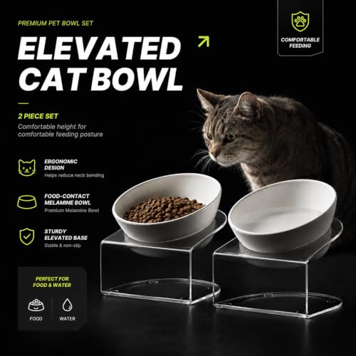 Elevated Cat Bowls, Tilted Melamine, White, 2 Pack | Two tilted melamine bowls support comfortable feeding for cats, kittens, flat-faced pets, and small dogs; white finish. - color: 20LBS-3Pack-White-1