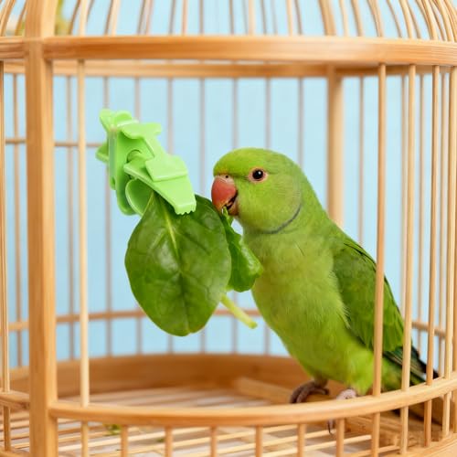 12-Pack Green Bird Cage Food Holder, Vegetable Fruit Holder for Budgie Parakeet Cockatoo Macaw Cockatiel Conure & Small Birds